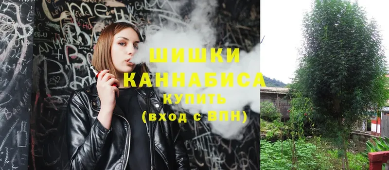 купить наркотики сайты  Вытегра  Бошки марихуана SATIVA & INDICA 